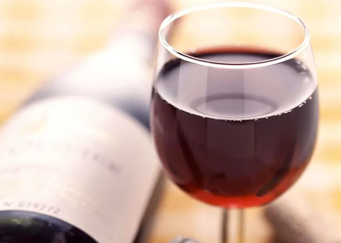 Hotel ibis Montpellier Sud